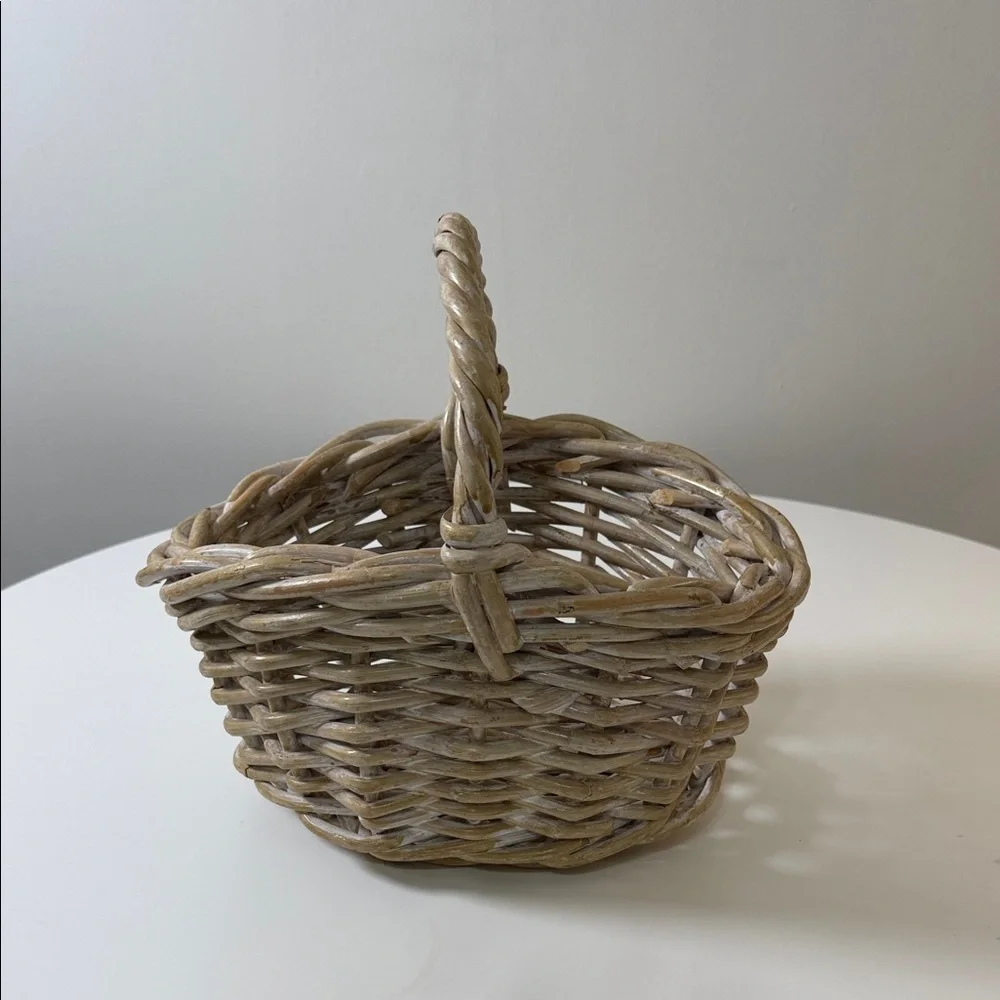 Woven Natural Rattan Storage Basket with Single Handle -‎ Beige/Tan
